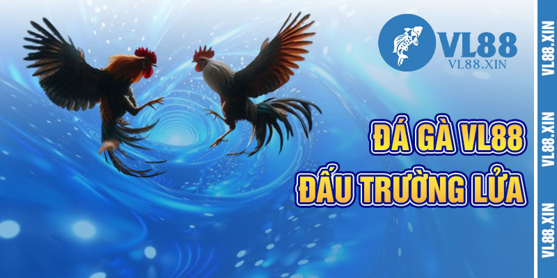 Đá Gà VL88 Và Đấu Trường Nảy Lửa