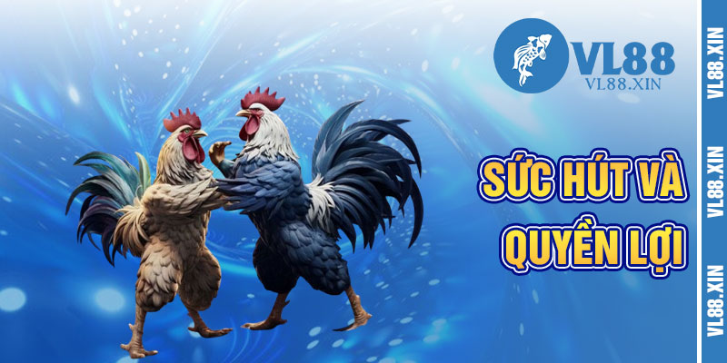 Sút Hút Và Quyền Lợi Của VL88